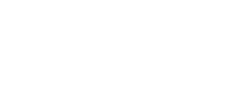 HP Mobile